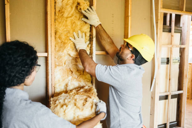 Best Insulation Contractors for Homes  in New Cumberland, PA