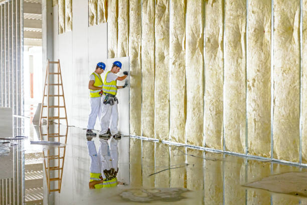 Best Home Insulation Services  in New Cumberland, PA